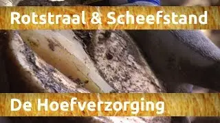 Zo verzorg je de hoeven van je paard | NH Bokt TV
