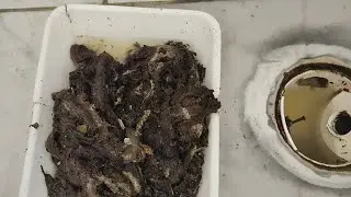 Pia entupida! 😱 Não deixe chegar nesse estado!