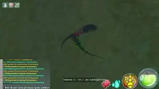 Beasts of Bermuda
