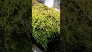Маленький и большой 🌊
