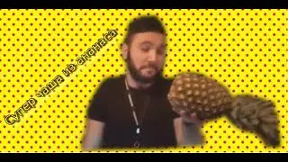 НЕОБЫЧНАЯ ЧАША ИЗ АНАНАСА. ОЧЕНЬ ДЫМНЫЙ КАЛЬЯН!!!!!