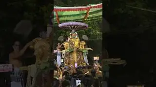 Yaanai Vahanam Yesal | Narasimhar Brahmotsavam | Day 6 | Thiruvallikeni Parthasarathy Temple