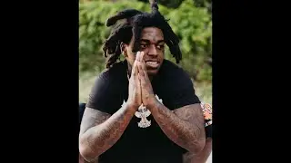 [FREE] KODAK BLACK TYPE BEAT - CAN STAY ALIVE