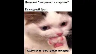 МЕМБОТ (Выпуск 32) Мемы вселяющие осознанность и уМЕМотворение