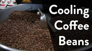The Importance of Cooling Roasted Coffee Beans with Peter Wolff