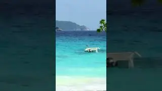 Discover The Beautiful Beaches of Andaman Islands.