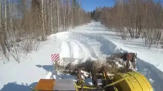 Пасека в снежном плену...намбе файфффффф