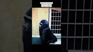 Bawal kang mapagod marami kapang bayarin🤣🤣🤣 #funnyvideo #funnyshorts