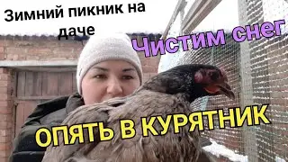 Чистим снег/Как понять что куры зажирели/куры не несутся
