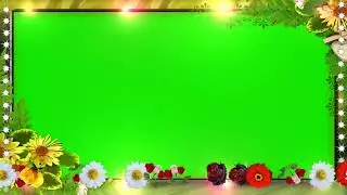 Green Screen Footage