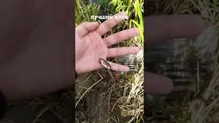 Если рыбалка, то только такая !