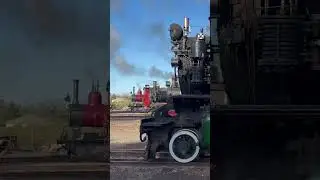 Five steam eninges Pichi Richi Railway #steamtrain #railway #australiantrains #steamengine #train