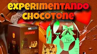 Experimentando chocotones