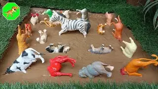 "Mud to Magic: Cleaning 20 Muddy Animals with Cool Facts!"