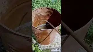 12 июня 2024 г.