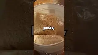 How to store rice long term?