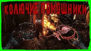 Колючие помошники в Hunt: Showdown