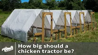 How big of a chicken tractor do you need?