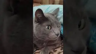 коротко о погоде