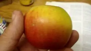 Apple variety Baker's Delicious