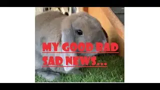 My good but very sad news.