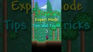 Terraria Expert Mode Tips and Tricks