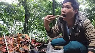 đi bẫy chuột rừng một mình nơi hoang dã