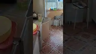 кухня