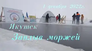 Якутск. Заплыв моржей.