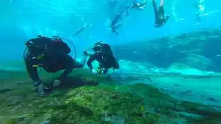 Free diving Ginnie Springs, Florida- Clearest water ever