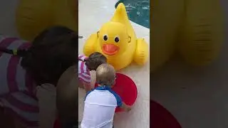 Дети наслаждаются водой у бассейна. Милое видео! #kids #funnybaby #funny #funnyclips #baby