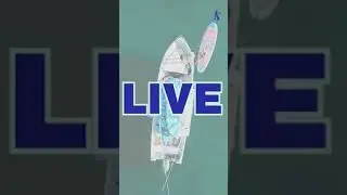 Live with Sea Gods: The Electric Pump