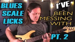 Blues Scale Licks I've Been Messing With - Part 2 WITH TAB IN DESCRIPTION