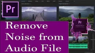 How to remove noise from audio in adobe premiere pro cc 2019 in hindi