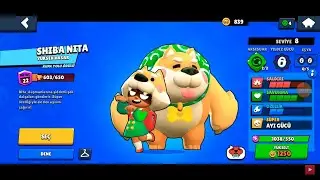 En İyi Nita Kostümünü Aldım VE...  *bu kostüm hile mi !? BRAWL STARS