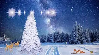 Зимняя зарисовка