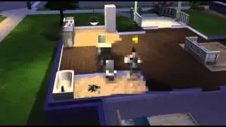 The Sims 4 Piracy Glitch