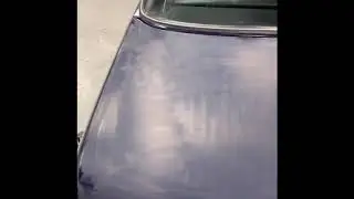 BMW 2002 brought back to life after wetsand and paint correction.