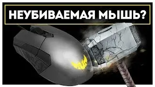 МЫШЬ ЗА $40, КОТОРАЯ МЕНЯ УДИВИЛА! ASUS TUF M5 Gaming!