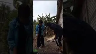 MTs salafiyah syafi'iyah menerapkan nilai-nilai pancasila dalam lingkungan keluarga