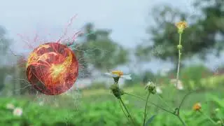 Видео с альфа каналом