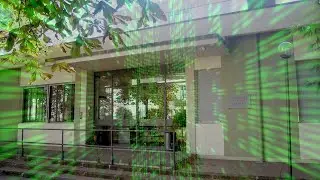 Le attività SIAF per l'Ateneo, durante la Pandemia