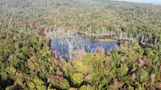 Cabin Trip Oct, 1 2023