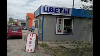 Тарари-Тач (случай в цветочном магазине)