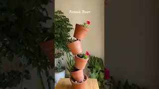 Let’s create pitunia tower #winterflowers #gardening  #diy