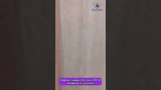 ФУРУХТА ШУД ✅                       Хонаи Фуруши дар шахри Душанбе ( 82 Мкр ) 2021.12.01