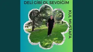 Deli Gibi Ol Sevdigim