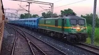 13244 Bhabhua-Patna Intercity Express Crossings