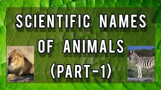 Scientific Names Of Animals (PART-1)