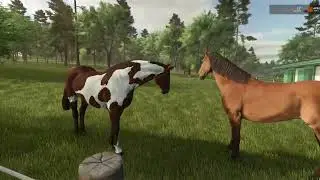 FS25 - Baby Animals On The Farm!! (Small Town USA)